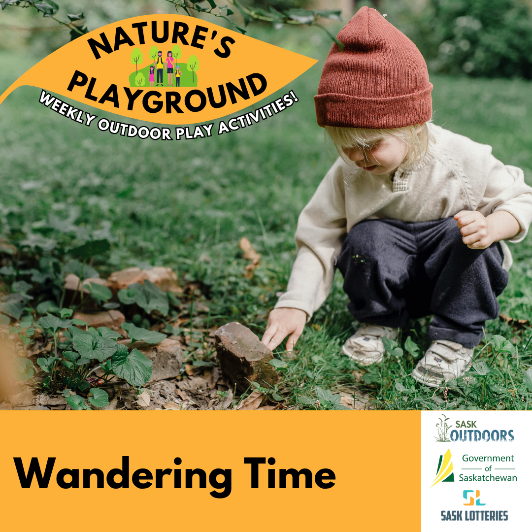 Wandering Time