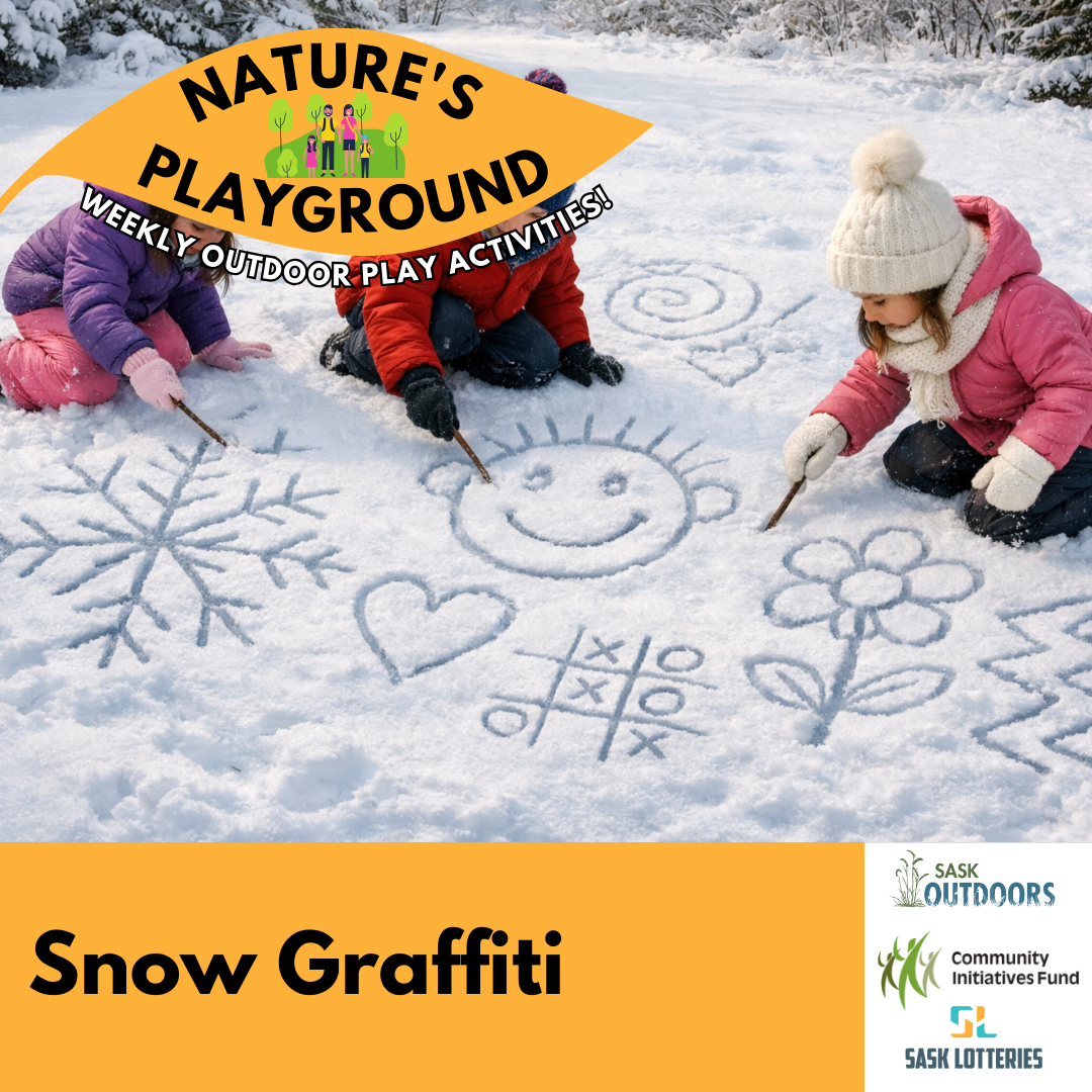 Snow Graffiti
