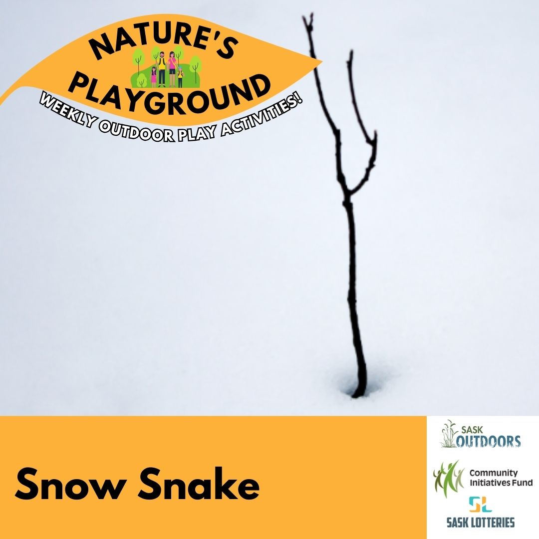 Snow Snake