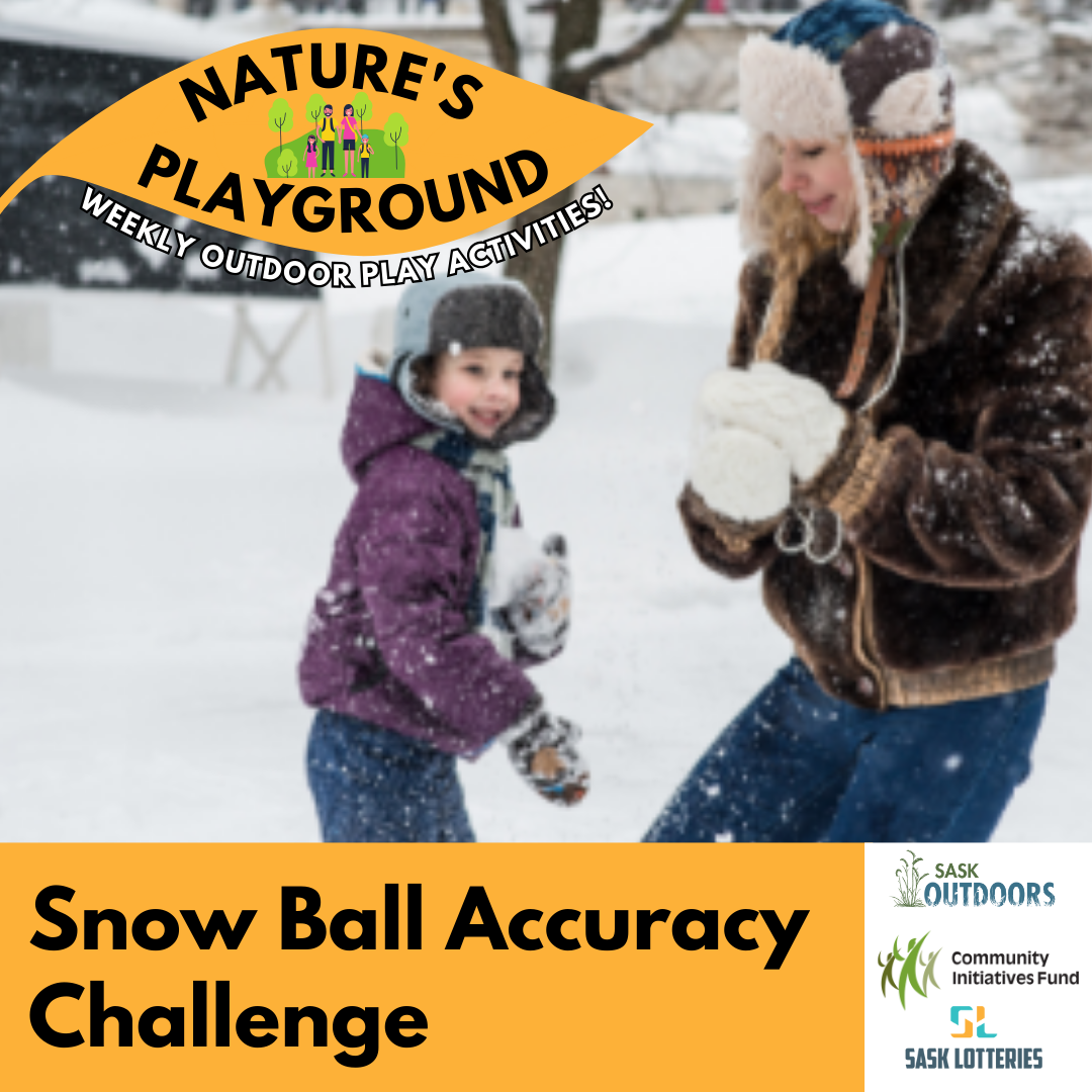 Snow Ball Accuracy Challenge