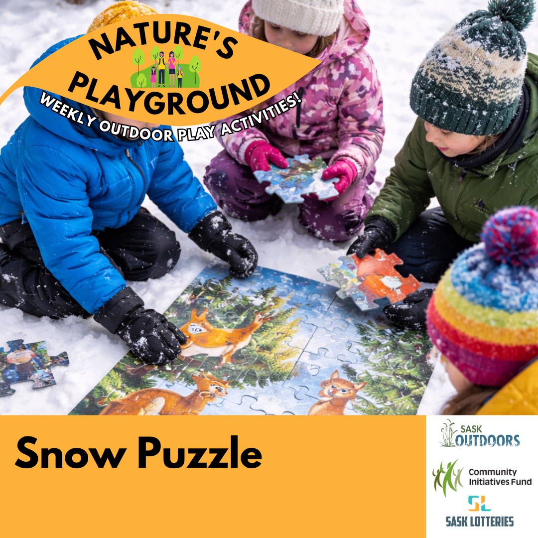 Snow Puzzle
