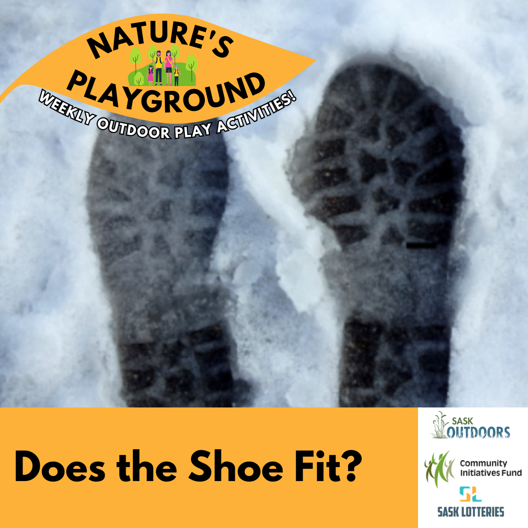 Does the Shoe Fit?